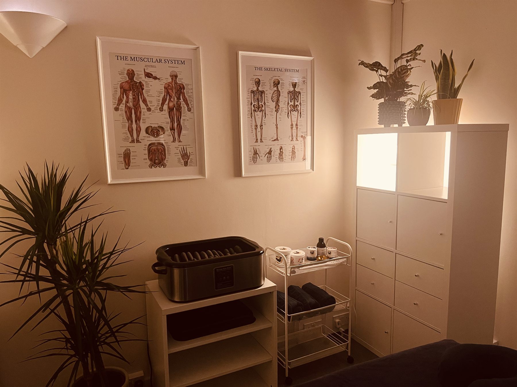 Corner of the treatment room with anatomy charts and the stone heater