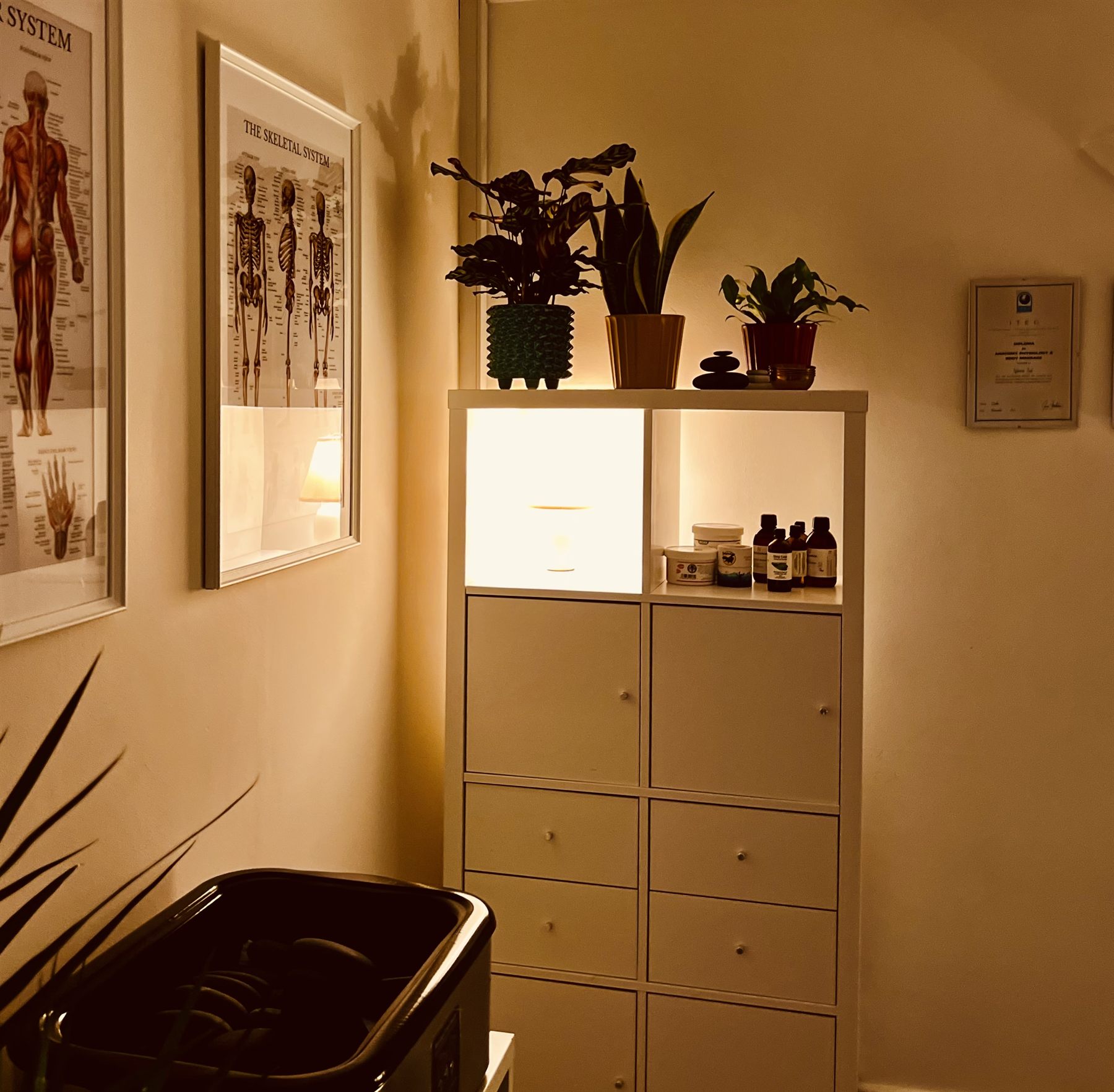 Shelves of massage oils, plants and framed certificates in the treatment room