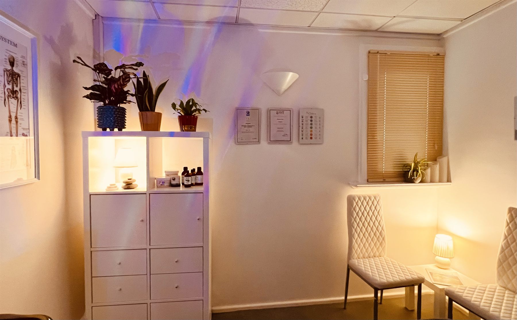 The treatment room showing storage, plants and warm wall lighting